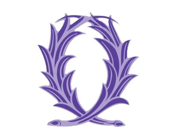 AMOPA 971 GUADELOUPE